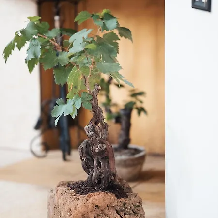 Maila - Accogliente Con Giardino Privato In Salento
