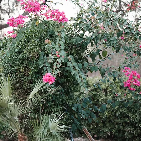 Maila - Accogliente Con Giardino Privato In Salento *